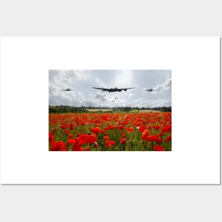 Poppy Flypast Posters and Art